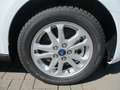 Ford Transit Connect Limited L2   Standheizung   PA Weiß - thumbnail 8