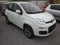 Fiat Panda Panda Natural Power GNC Erdgas/ Benzin Weiß - thumbnail 3