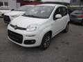 Fiat Panda Panda Natural Power GNC Erdgas/ Benzin Weiß - thumbnail 2
