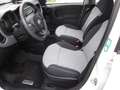 Fiat Panda Panda Natural Power GNC Erdgas/ Benzin Weiß - thumbnail 6