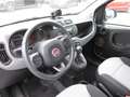 Fiat Panda Panda Natural Power GNC Erdgas/ Benzin Weiß - thumbnail 7
