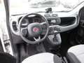 Fiat Panda Panda Natural Power GNC Erdgas/ Benzin Weiß - thumbnail 9