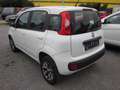 Fiat Panda Panda Natural Power GNC Erdgas/ Benzin Weiß - thumbnail 5