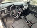 Kia Rio 1.2 DPI 84CH ACTIVE BUSINESS Blanc - thumbnail 15