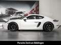 Porsche Cayman 718 Sportabgasanlage Rückfahrkamera Weiß - thumbnail 2