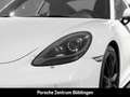 Porsche Cayman 718 Sportabgasanlage Rückfahrkamera Weiß - thumbnail 11