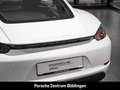 Porsche Cayman 718 Sportabgasanlage Rückfahrkamera Weiß - thumbnail 30