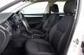 Skoda Octavia Combi 1,6 TDI Ambition Limited / Pickerl NEU / ... Weiß - thumbnail 10
