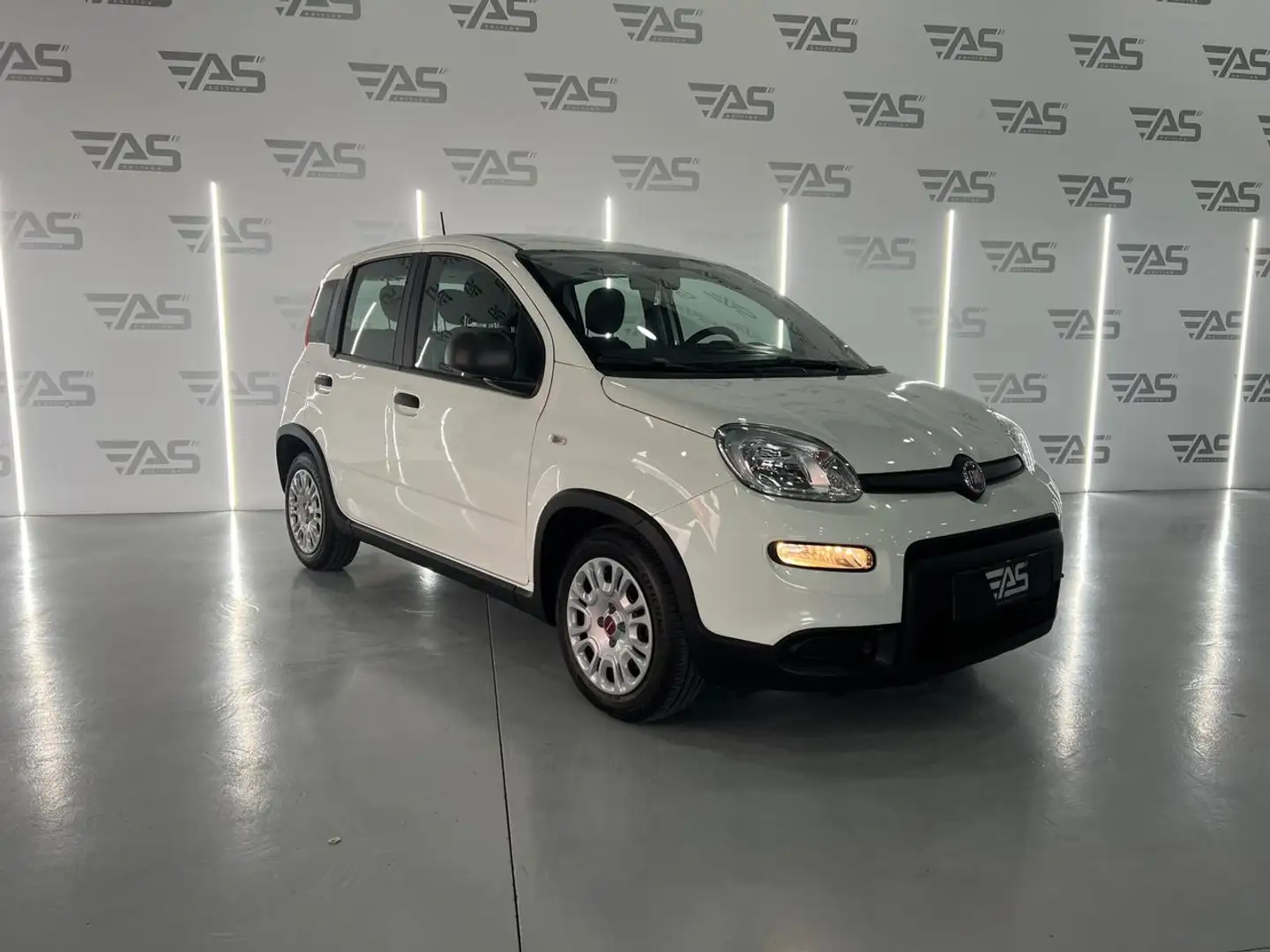 Fiat Panda 0.9 TwinAir Trekking Blanc - 2