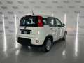 Fiat Panda 0.9 TwinAir Trekking Blanc - thumbnail 3