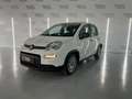 Fiat Panda 0.9 TwinAir Trekking Blanc - thumbnail 1