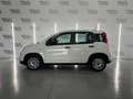 Fiat Panda 0.9 TwinAir Trekking Blanc - thumbnail 13