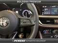 Alfa Romeo Stelvio Stelvio 2.2 Turbodiesel 210 CV AT8 Q4 Veloce Blauw - thumbnail 28