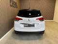 Renault Scenic 1.3 TCE Black Edition Full LED|Alca.|Pano Negro - thumbnail 27