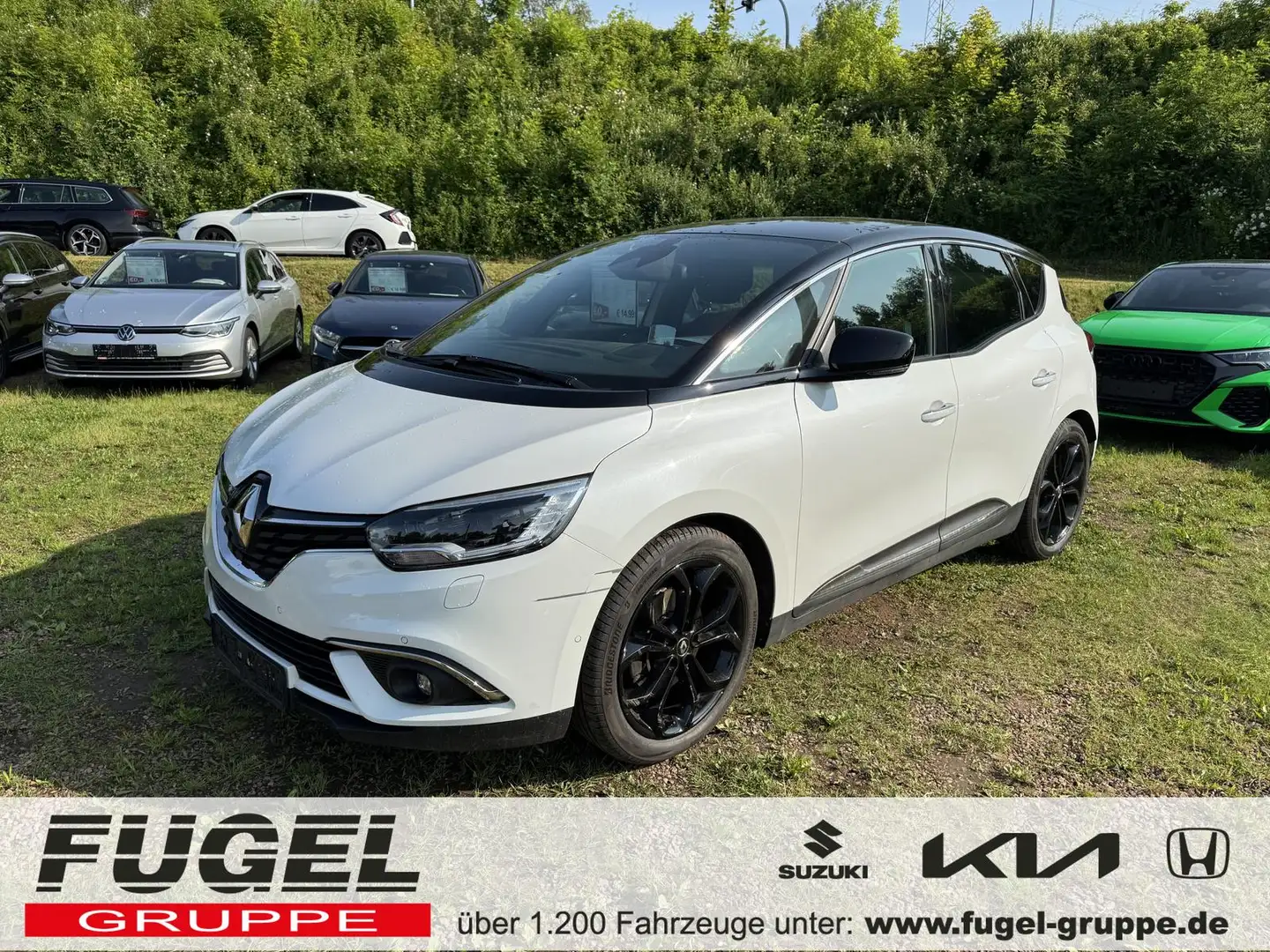 Renault Scenic 1.3 TCE Black Edition Full LED|Alca.|Pano Noir - 1