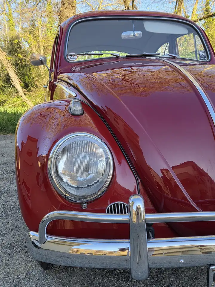 Volkswagen maggiolino 1962 - 6 volts, foto 2