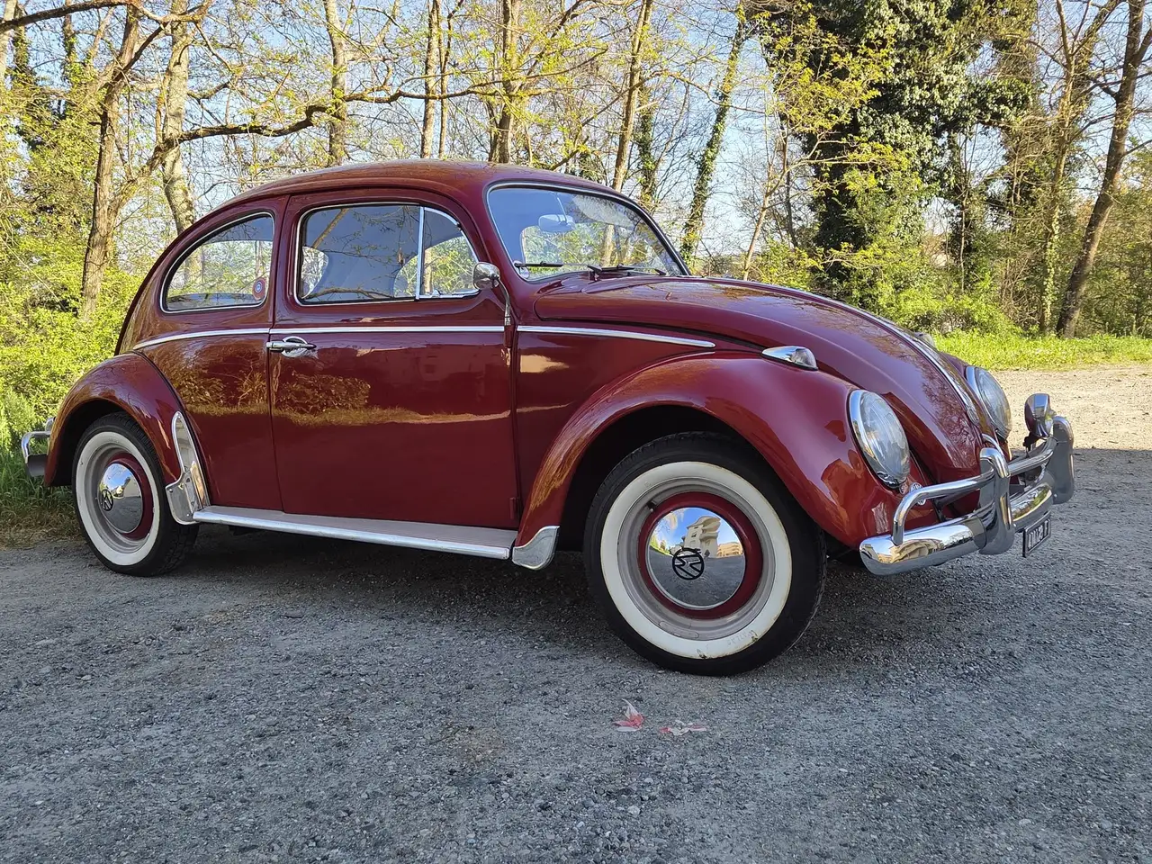 Volkswagen maggiolino 1962 - 6 volts, foto 3