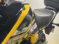 Honda MSX 125 Amarillo - thumbnail 5