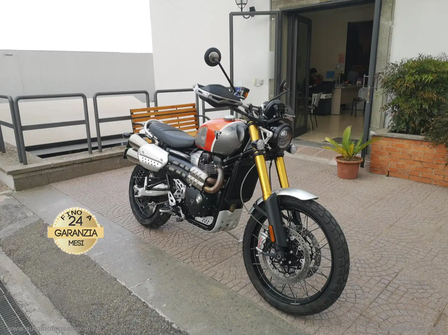 Triumph Scrambler Scrambler 1200 XE GOLD LINE PROMO WEB Arancione - 2
