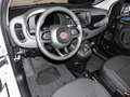 Fiat Panda Mild Hybrid City Paket  Gelato Weiß Weiß - thumbnail 3