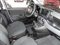 Fiat Panda Mild Hybrid City Paket  Gelato Weiß Weiß - thumbnail 2