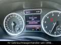Mercedes-Benz B 250 7G-DCT Sportpaket *BI-XENON/CAM/AHK/DSTR* Rot - thumbnail 21