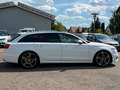 Audi A6 Avant 3.0 TDI quattro-S Line-Pano-Xenon-AHK Weiß - thumbnail 11