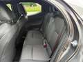 Mazda 2 Mazda2 Hybrid Homura Aut. Grau - thumbnail 7