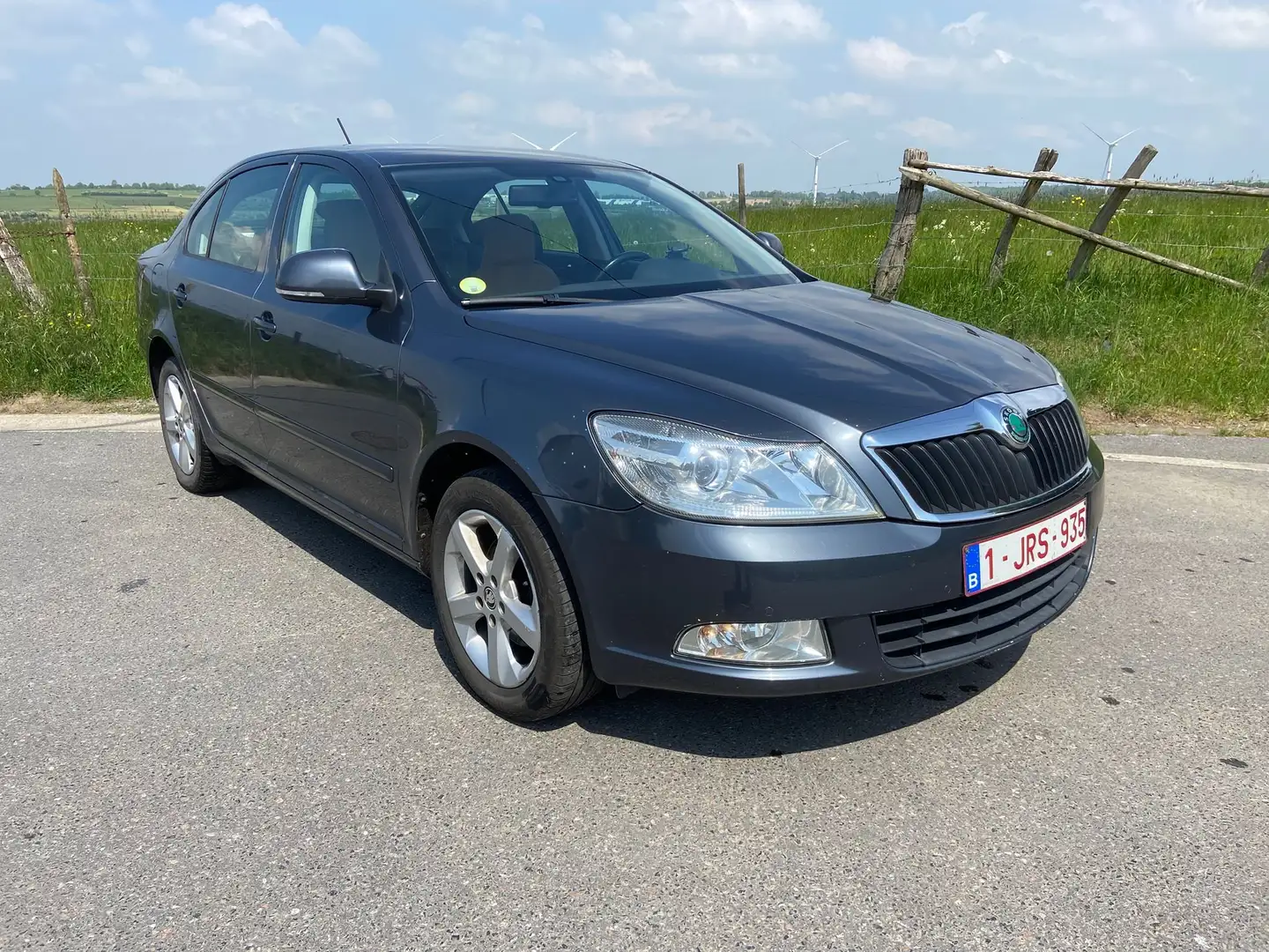 Skoda Octavia Octavia 1.6 CR TDi Ambition DPF DSG Grijs - 1