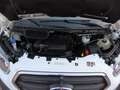Ford Transit Kasten 350 L3H3 LKW VA AUTM.  185 PS Bianco - thumbnail 8