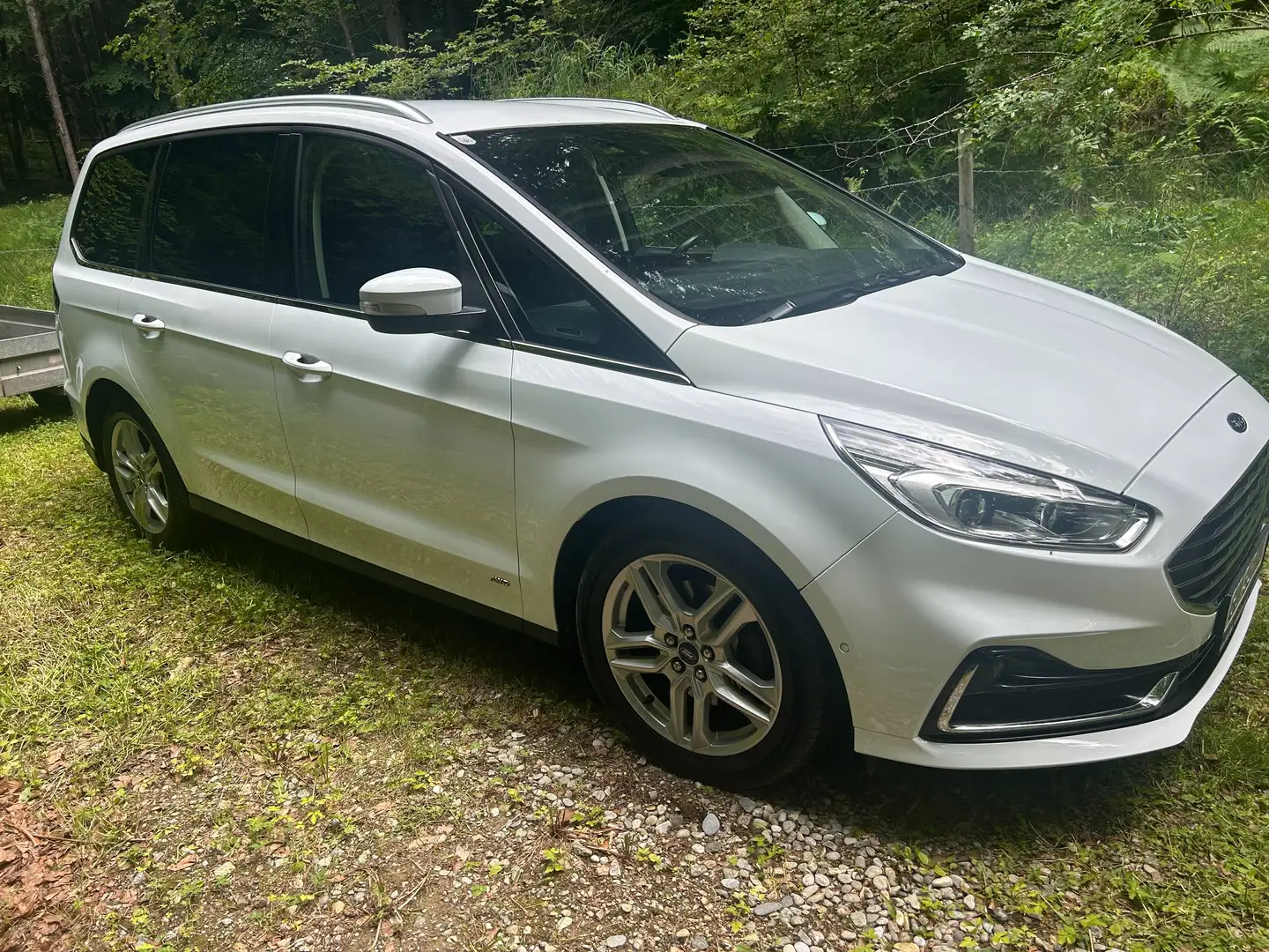 Ford Galaxy Galaxy 2,0 EcoBlue SCR AWD Titanium Aut. Titanium Weiß - 2
