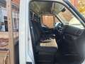 Iveco Iveco Daily 2.3 Diesel 35 S Kipper*ATM*66 TKM* Wit - thumbnail 19