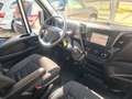 Iveco Iveco Daily 2.3 Diesel 35 S Kipper*ATM*66 TKM* Wit - thumbnail 18