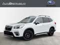 Subaru Forester 2,0 e-Boxer PREMIUM Weiß - thumbnail 1