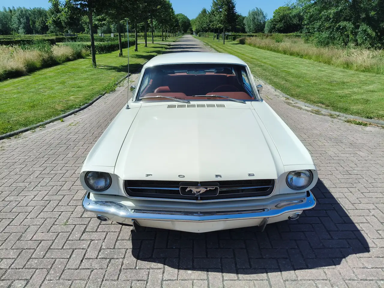 Ford Mustang HARDTOP V8 COUPE A CODE!, foto 5