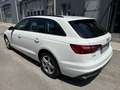 Audi A4 A4 Avant 30 2.0tdi mhev Business Ad 136cv s-tronic Bianco - thumbnail 6