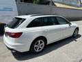 Audi A4 A4 Avant 30 2.0tdi mhev Business Ad 136cv s-tronic Bianco - thumbnail 4