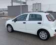 Fiat Punto Evo 5p 1.3 mjt Dynamic 75cv - thumbnail 2