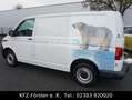 Volkswagen T6 Transporter Blanc - thumbnail 5