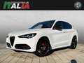Alfa Romeo Stelvio Tributo Italiano 2.0 Turbo Q4 Weiß - thumbnail 1