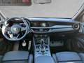 Alfa Romeo Stelvio Tributo Italiano 2.0 Turbo Q4 Weiß - thumbnail 7