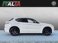 Alfa Romeo Stelvio Tributo Italiano 2.0 Turbo Q4 Weiß - thumbnail 3