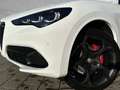Alfa Romeo Stelvio Tributo Italiano 2.0 Turbo Q4 Weiß - thumbnail 13
