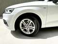 Audi Q5 55 TFSIe S line quattro-ultra S tronic Blanco - thumbnail 39