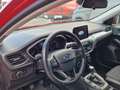 Ford Focus Cool&Connect/5-türig/Winter-P. Rot - thumbnail 8
