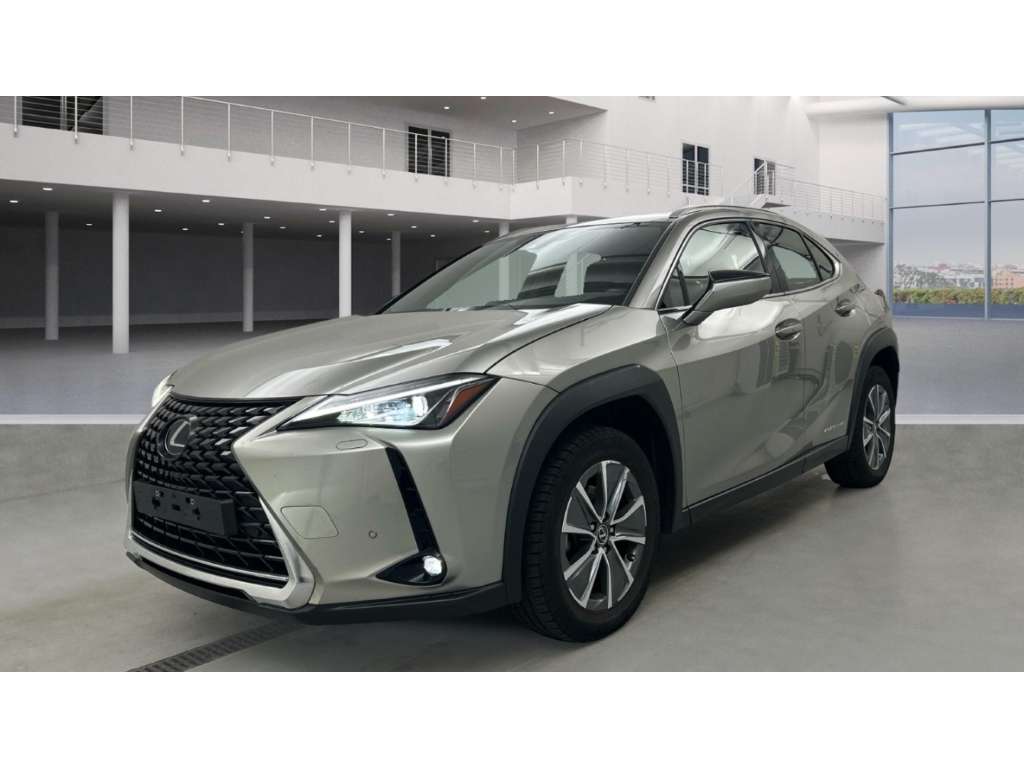 Lexus UX 300e occasion