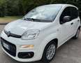 Fiat Panda 1.3 MJT 95 CV S&S Easy Bianco - thumbnail 1