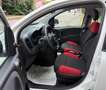 Fiat Panda 1.3 MJT 95 CV S&S Easy Bianco - thumbnail 9