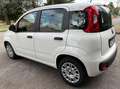 Fiat Panda 1.3 MJT 95 CV S&S Easy Bianco - thumbnail 5