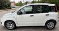 Fiat Panda 1.3 MJT 95 CV S&S Easy Bianco - thumbnail 6